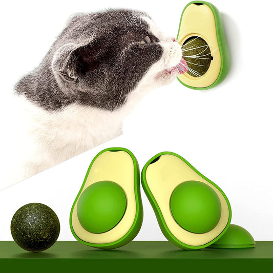 Avocado Cat Teeth Cleaning Toy