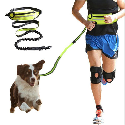 Hands Free Dog Leash Pet Walking