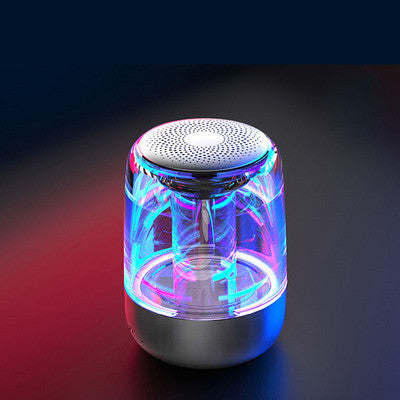 Bluetooth Portable Speaker